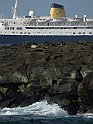 The FUNCHAL in and off Focus 0015
